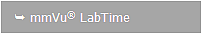 mmVu LabTime